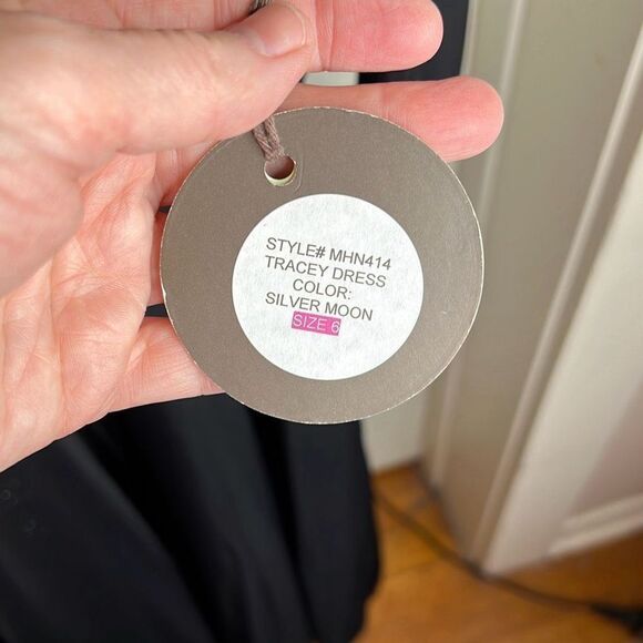 Eva Franco Tracey Dress Silver Moon NWT Size 6 - Picture 3 of 7